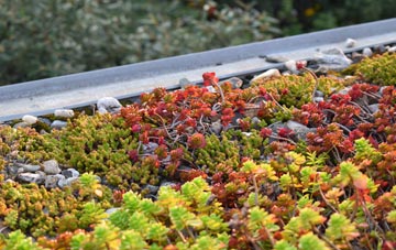 the cost of Common Side green roof installation