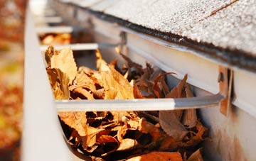Common Side gutter cleaning companies