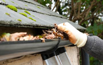 gutter cleaning Common Side
