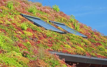 Common Side living roof systems