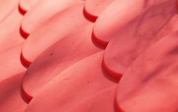 Common Side plastic roof costs