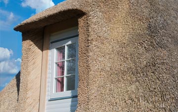 Common Side thatch roof disadvantages