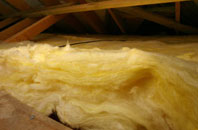 Common Side pitch roof insulation